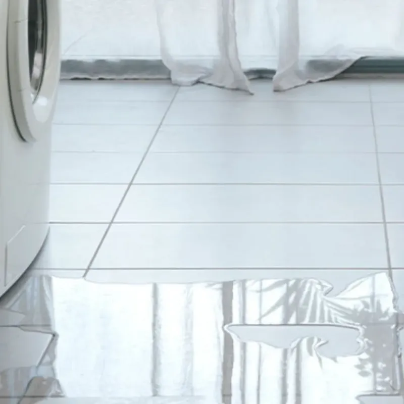 Appliance Leak Cleanup in Sibley, LA