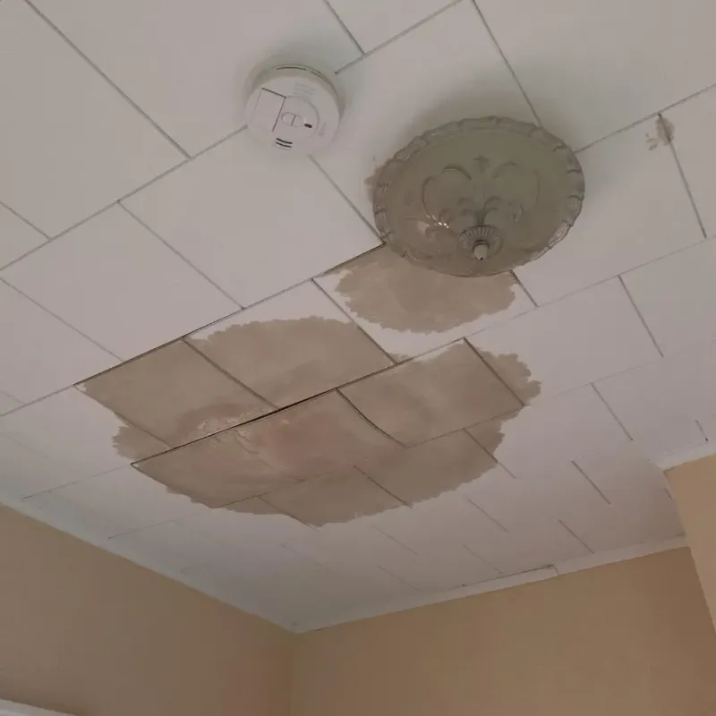 Ceiling Water Damage Repair in Sibley, LA